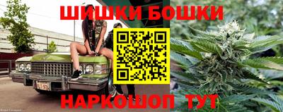 индика Нягань