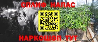 PSILOCYBIN Партизанск