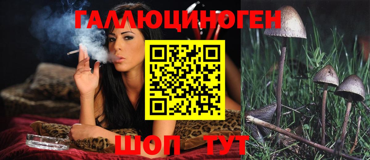 Александров  Галлюциногенные грибы Psilocybe  Галлюциногенные грибы ЛСД  Вход с VPN 