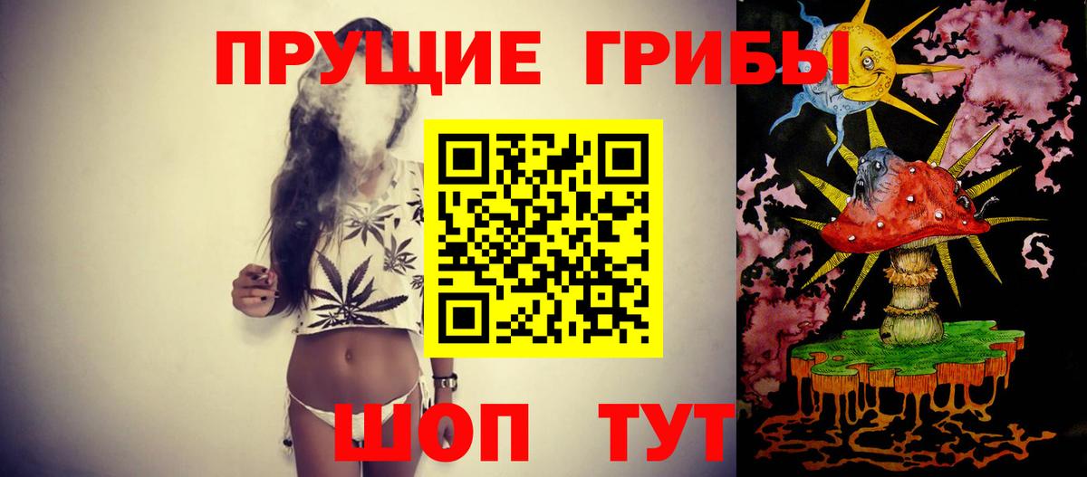 Галлюциногенные грибы Psilocybine cubensis Александров